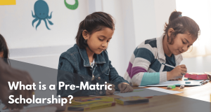 What is a Pre-Matric Scholarship