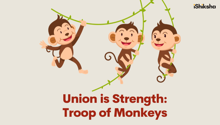 Union is Strength Troop of Monkeys
