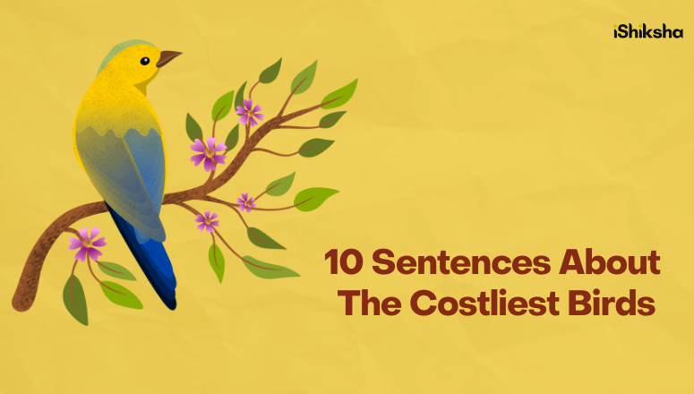 10 Sentences About the Costliest Birds